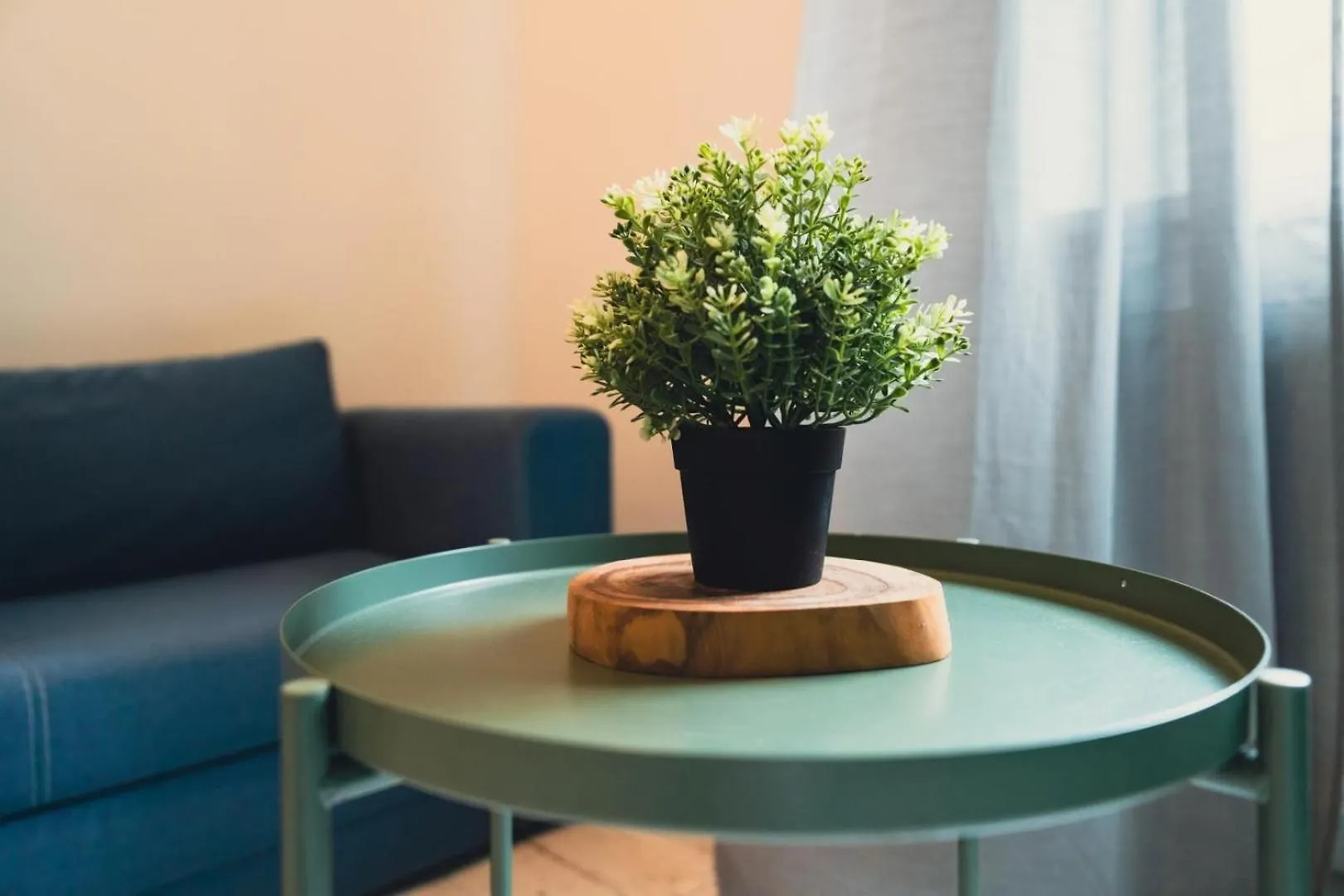 Przytulne I Budzetowe Apartamenty Na Sienkiewicza Komfort W Zielonym Sercu Wroclawia Apartment Wroclaw
